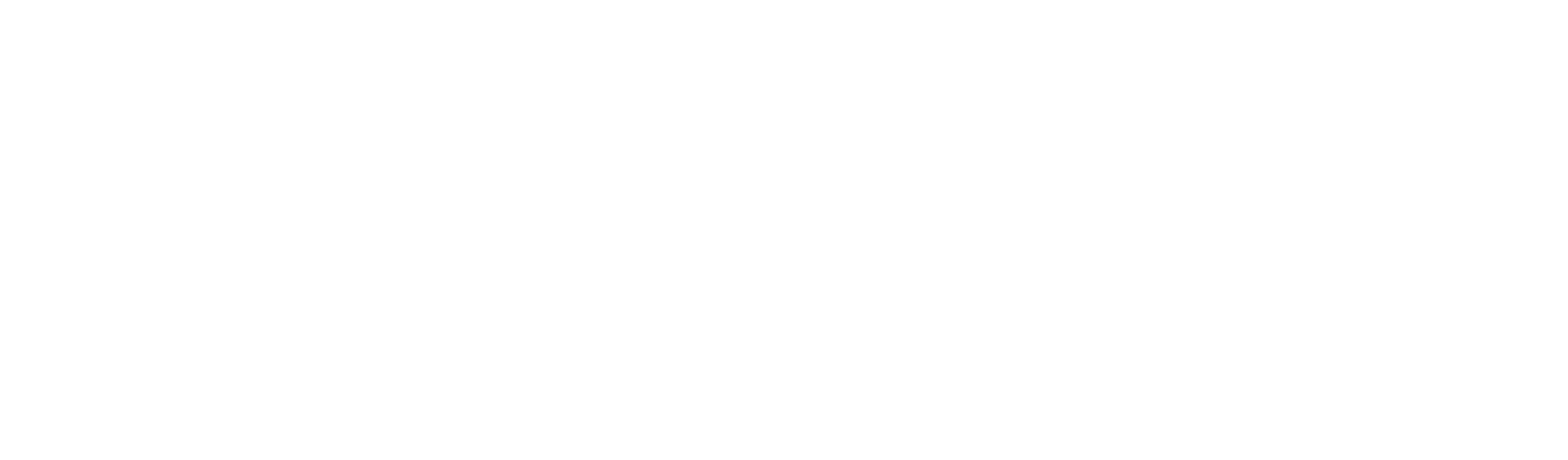 PT Petravida Makmur